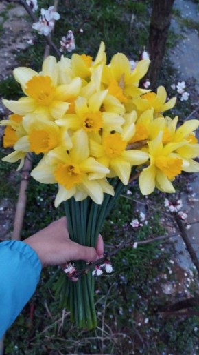 � ������ �� 3 ������ . � ������������� ���� �������, �����