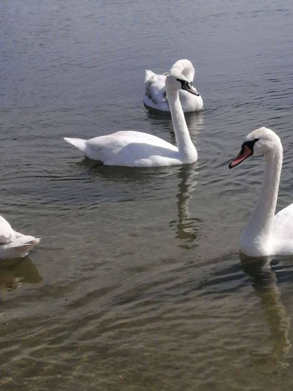 ������ ����, ������!. ��������� +16 ��