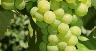 �������� ����������: ������ � ����������� �����