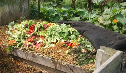 ����������� ������� �����: ����������� ����� �� �������� ���������