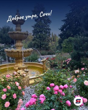 Доброе утро!. Пусть этот день подарит вам хорошее настроение, лёгкость в делах и пару ярких моментов, которые захочется запомнить