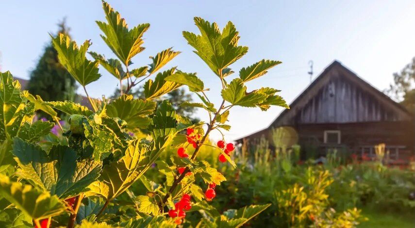 ��� ��������� ���������� ��������� ������: ������ �� ���������� � ������� ��������� ������