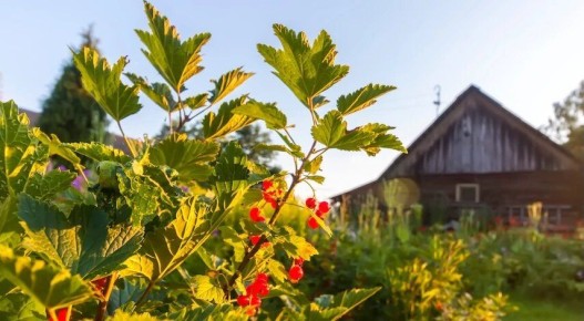 ��� ��������� ���������� ��������� ������: ������ �� ���������� � ������� ��������� ������