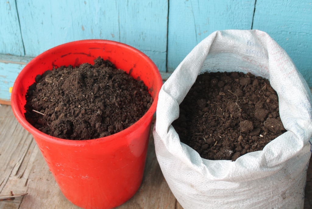 Успех рассады: секреты хранения грунта на зиму