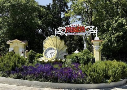 Андрей Прошунин: В августе прошлого года во время Прямой линии тренер Никита Скавинский поблагодарил за косметический ремонт площадки в парке «Ривьера», но спросил про полноценную реконструкцию