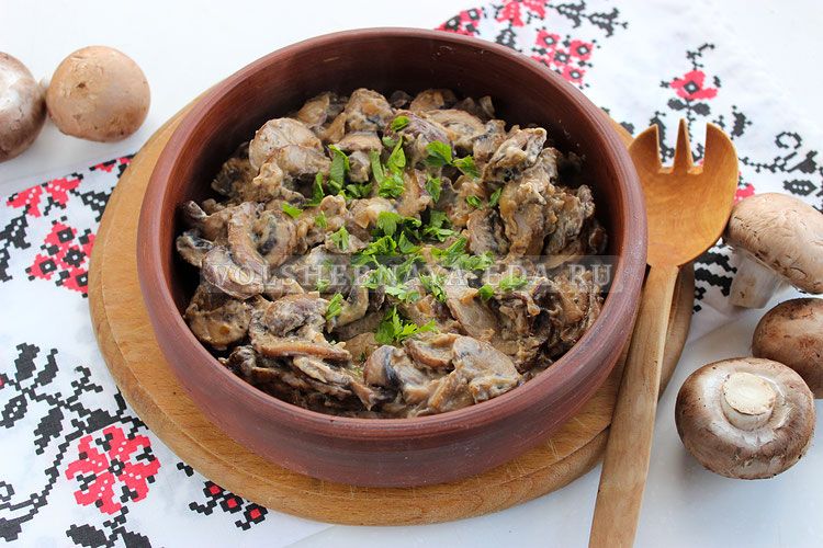 ���������� � ��� �������� ������������