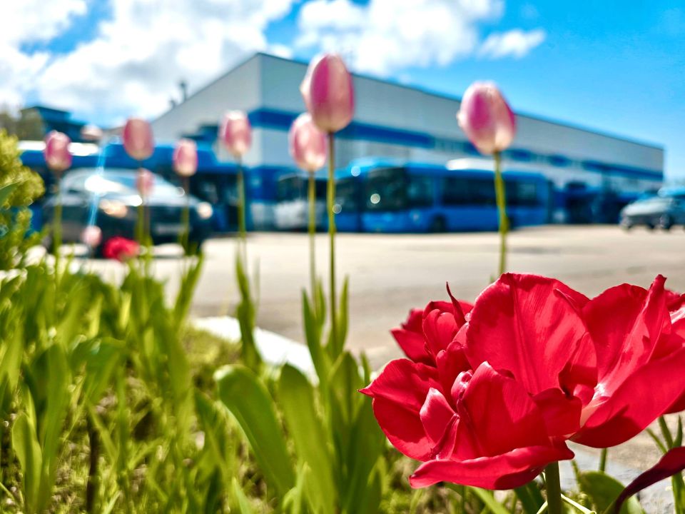 ������ ����. ������ ���� ��������� ��������! ����� � Telegram | MAX