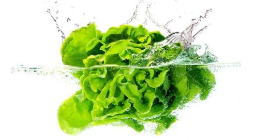 Секреты работы с листовыми салатами