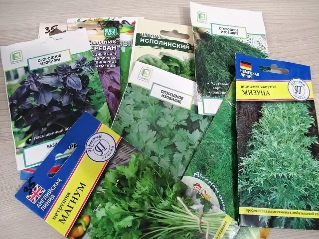 Лучшие зелёные культуры для посадки в мае