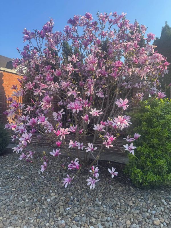 � ������ �� 7 ������ . � ������������� ���� ������� � ������������