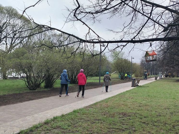 ���������� ��������� �������� ����� 455 ��������� ������ �� ������ � ��������