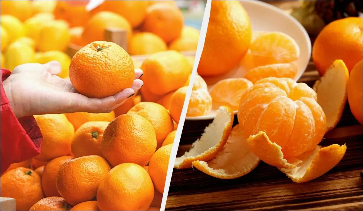 Три сорта мандаринов, которые покорят вас своей сладостью: как выбрать лучшие