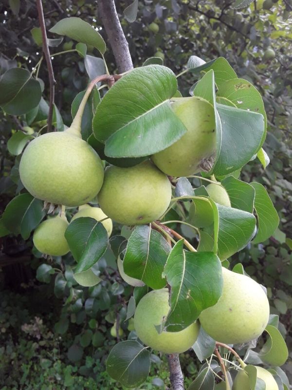 ��� ���������� � �������� ������: ������ �� ��������