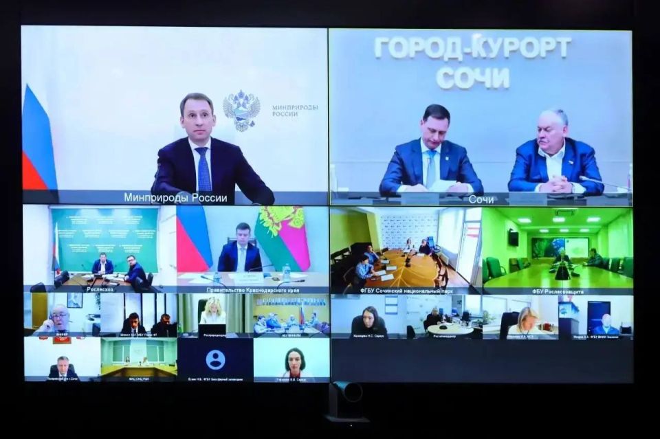 ������ ��������: ������ ������� � ������ ��������� ���������������� �������� �� ������ �������������� ����� ���� ��� ����������������� �������� ��������� �������� ���������� �������������� �������