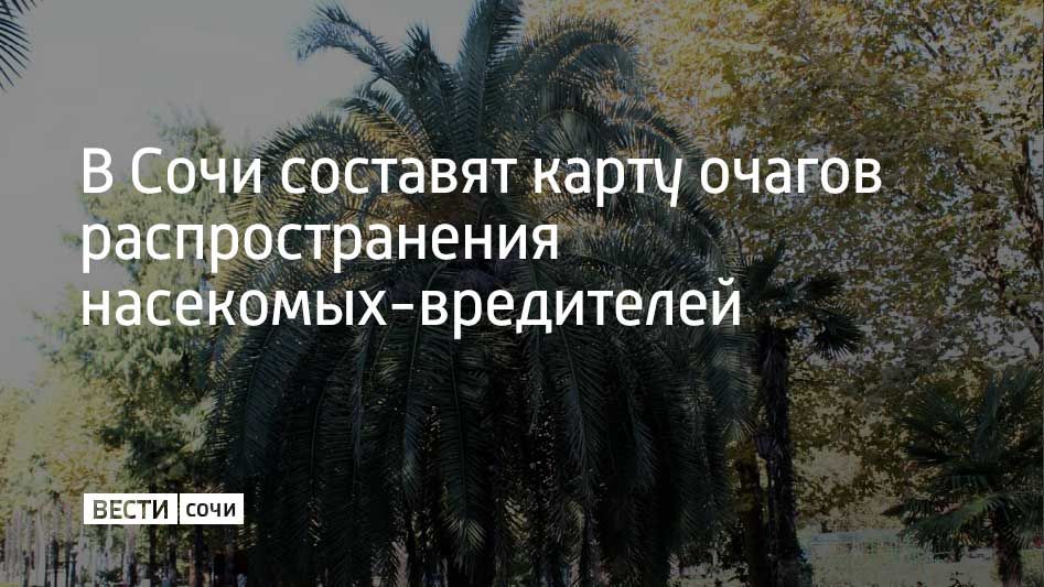 � ���� � ��������� ��� ������ �������� �����, ��� �������� ��� ����� ��������������� ����������, � ����� ������ �����������, ������� �������� �� ���� �����������