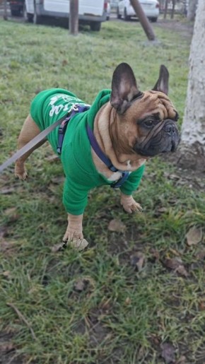 Доброе утро, Кубань!. Краснодар +13 °С