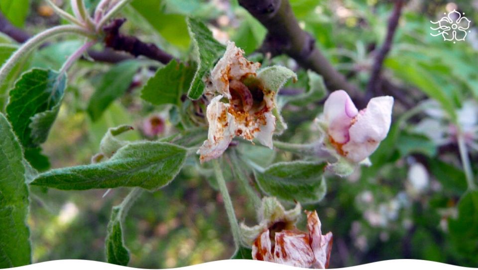 ������� ���������: ��� �������� ������ � ����� �� ���������