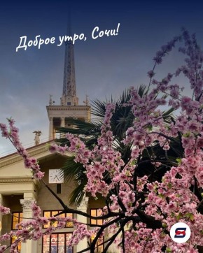 Доброе утро, Сочи!. Пусть этот день начнётся с лёгкости и подарит ощущение, что всё идёт именно так, как нужно