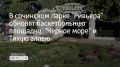 В парке "Ривьера" приступили к третьему этапу обновления, который рассчитан на 2026-2027 годы