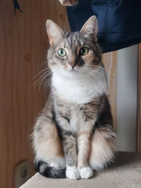 Доброе утро, Кубань!. Краснодар +9 °С