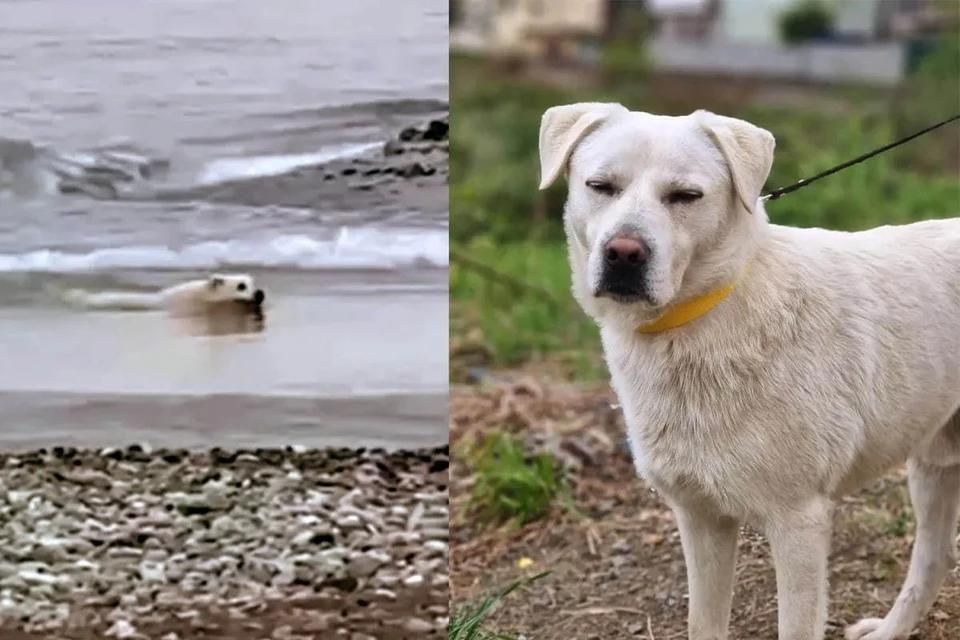 ��� ����� �� ����: ����� � ���� ����� �������� ������������� � ����� ����� ���