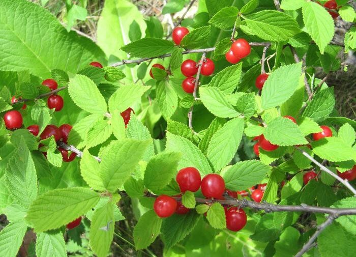 ��� ���������� � ��������� �����: ������� �������� ���������