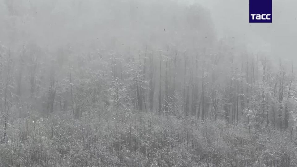 ����� 30 �� ����� ������ �� ������� ������ �������� �����