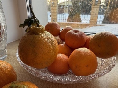 ����� ���� ���������� ��������: ����, ������� ��������