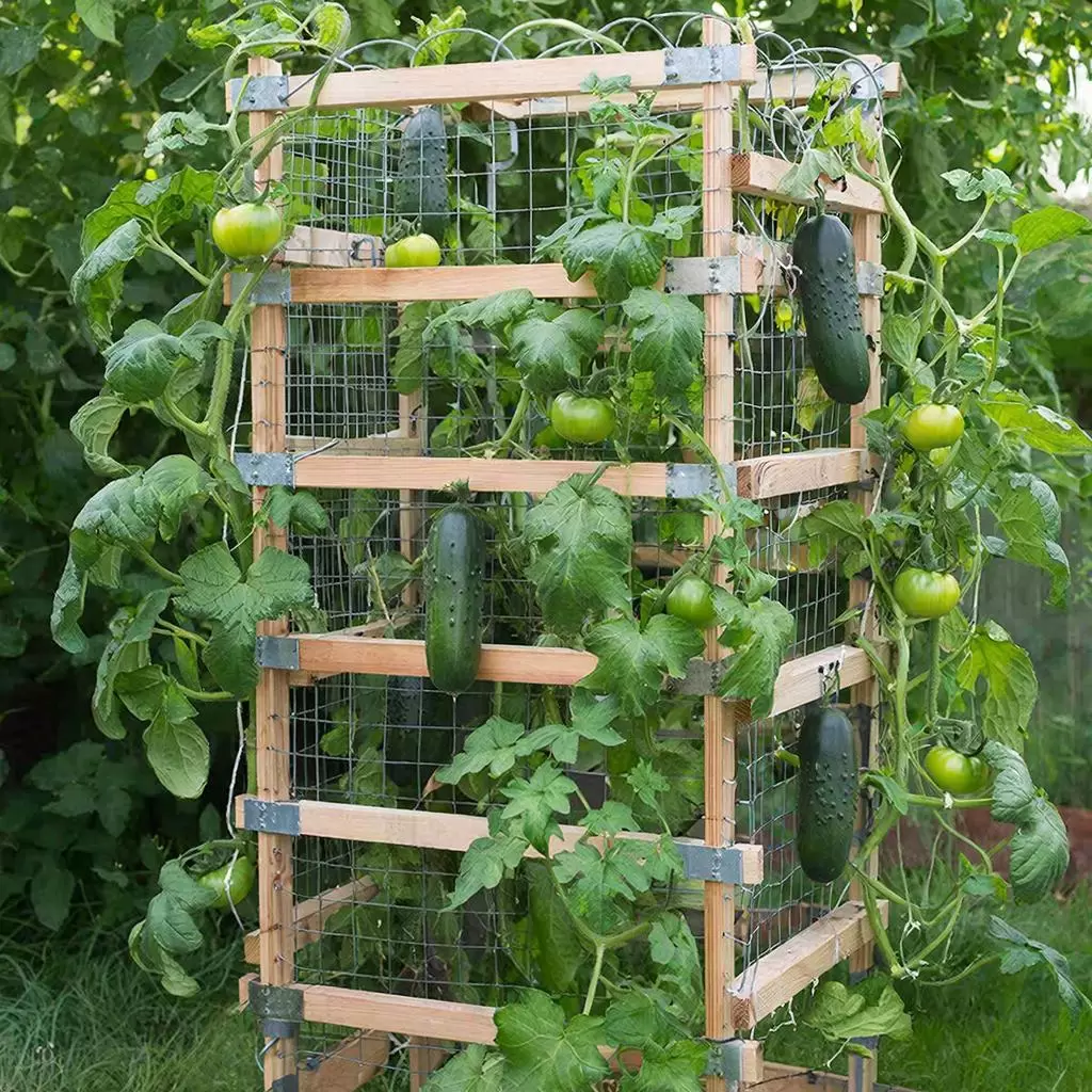 Как создать уникальную шпалеру для огорода из подручных материалов