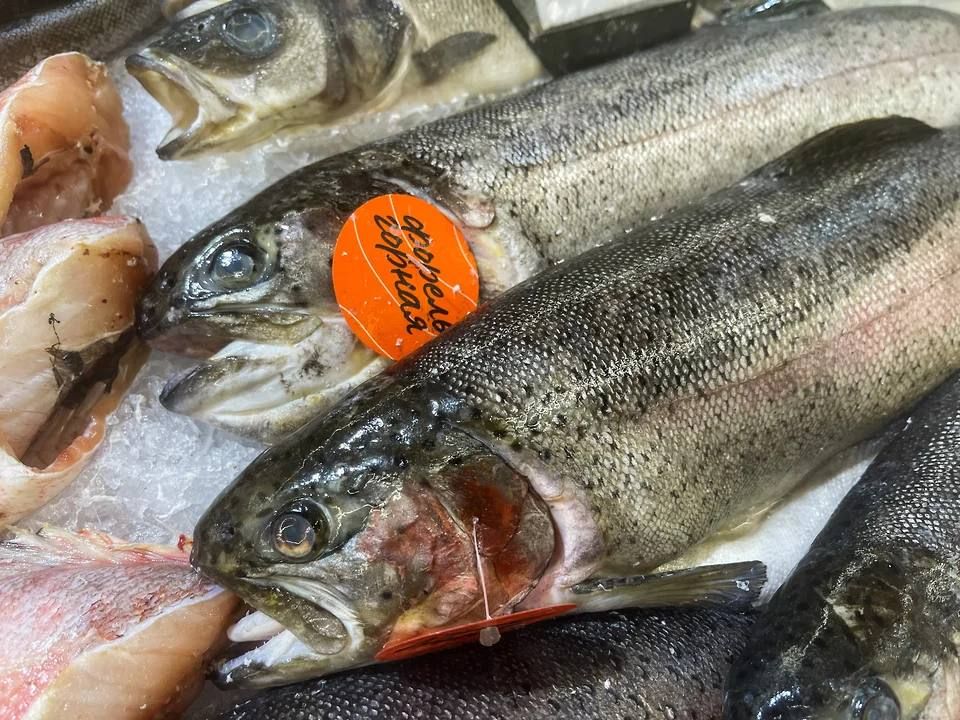 � 2025 ���� ������������ ������ � ���� ������� ����� ��� �����