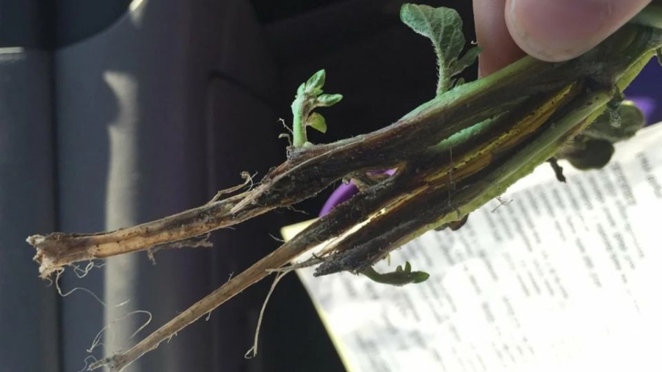 ��� ���������� ����� ���� �������: ������� ������ �� 90% ������������