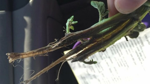 ��� ���������� ����� ���� �������: ������� ������ �� 90% ������������