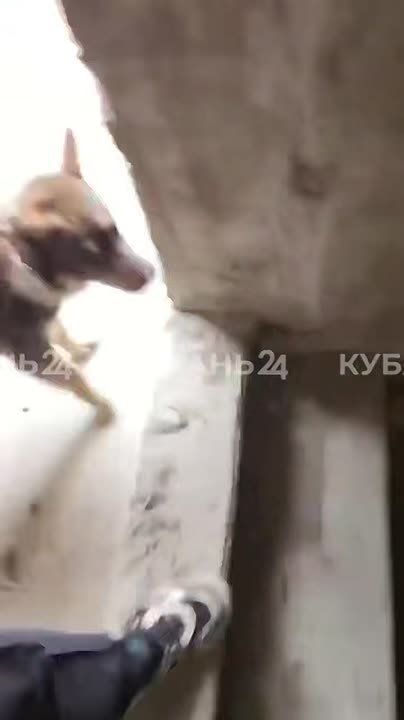 ��� �� ������������ 8 ������: