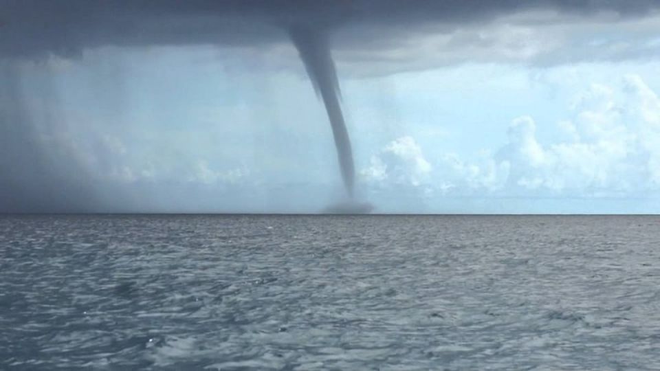 ������ ��� ����� ������������ � ���� � ������� ������� 9 ������