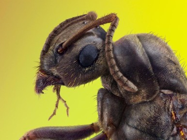 ��� ������� ���� ����� ������ ��� ��� �� ��������