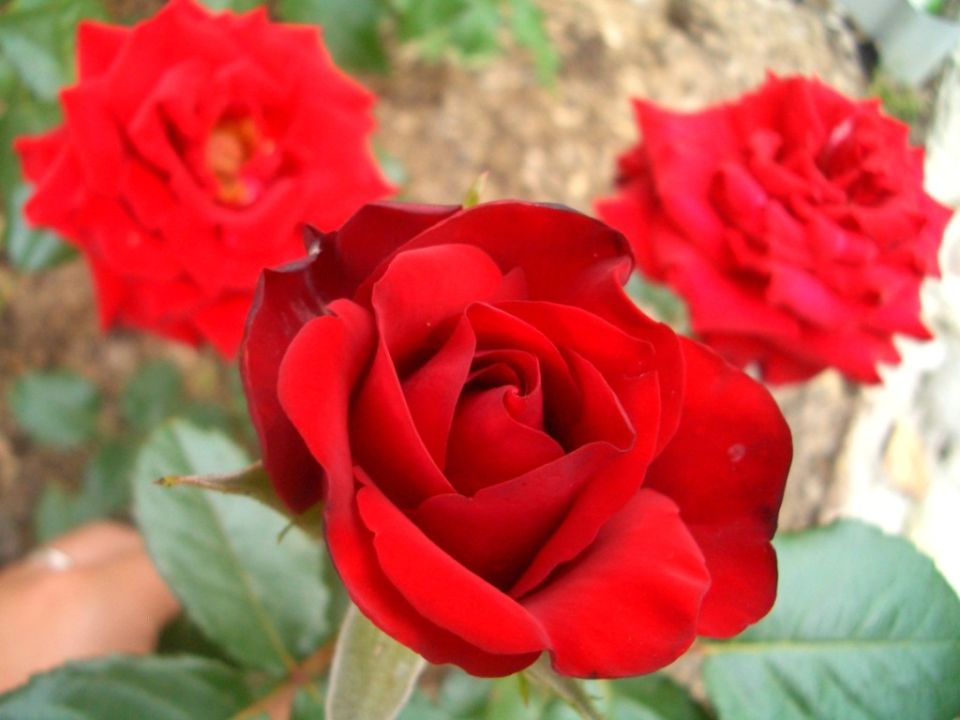 ���� �� ������ � ����: ������� ��� ������ ��������