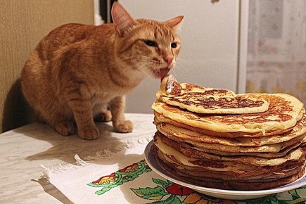 ������ ���� ������������ ���� � �� ��������� ������� ����: ����� � ��������