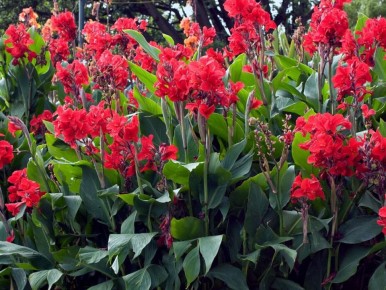 �����: ����������� ���� ��� ������ ����