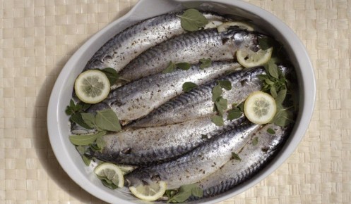 �������� �������� ����� � ������ � ��������: ��� �� ����� ���� ���������