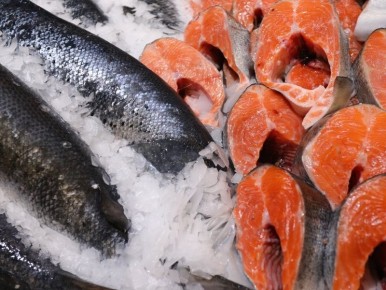 ���������� � ���������������: ��������� � ����� ������