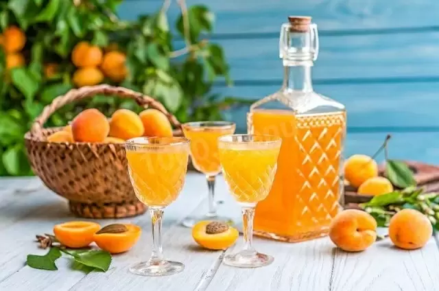 Как создать домашнюю абрикосовую настойку