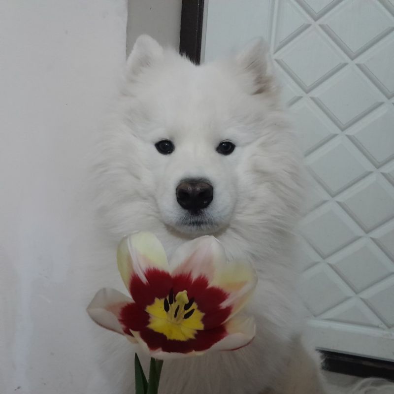 ������ ����, ������!. ��������� +14 ��