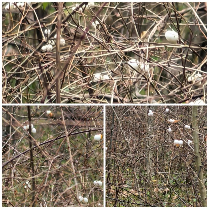 �������� �� ���� � ����� �������� ���� ����