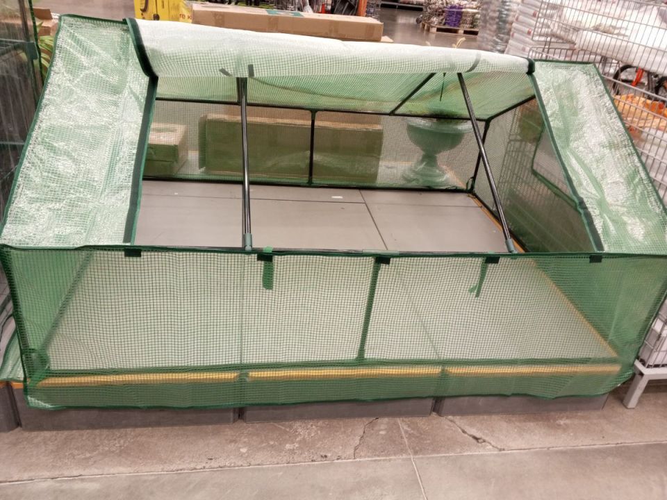 ����� ���������� ��� ���������: ��� ��������� ������� ������ ������ � ����������� ��������