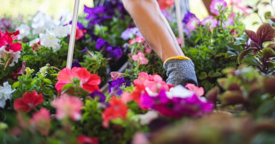 ������ �� ���������� ��������: ��� �� ������� ���������� � ����� 2026 ����