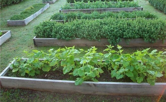 ��-�������: ������� �������� � ������������ ��������� ��� ������ �������