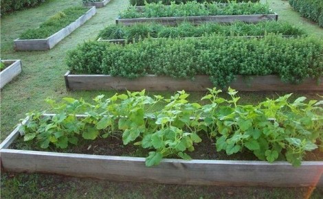 ��-�������: ������� �������� � ������������ ��������� ��� ������ �������