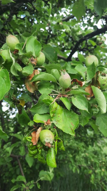 ��������� ������ ������� ������: ��� ������� ���� ����� �������� ������ ������ ����