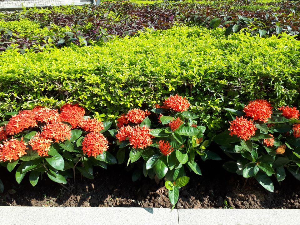 ������� � �����: ��������� �� ������ ����