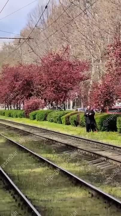 ��� ���������! ������� ����� �����, ����� ����� �� ���� �����